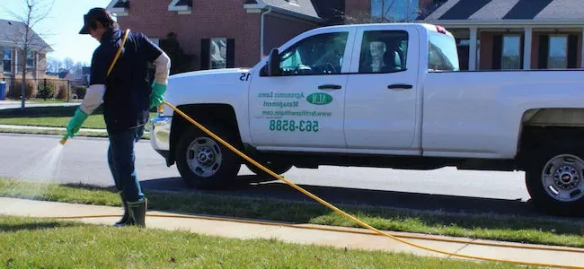 Lawn care professional spraying grass